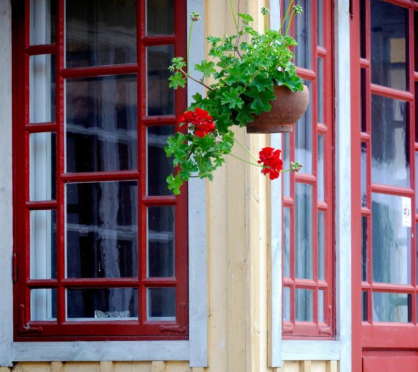 Vildrosor & Hoens Hagstad Exterior foto